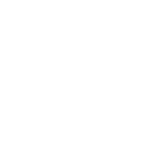 Crawlspace Medic Logo