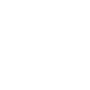 Punch List Pros Logo